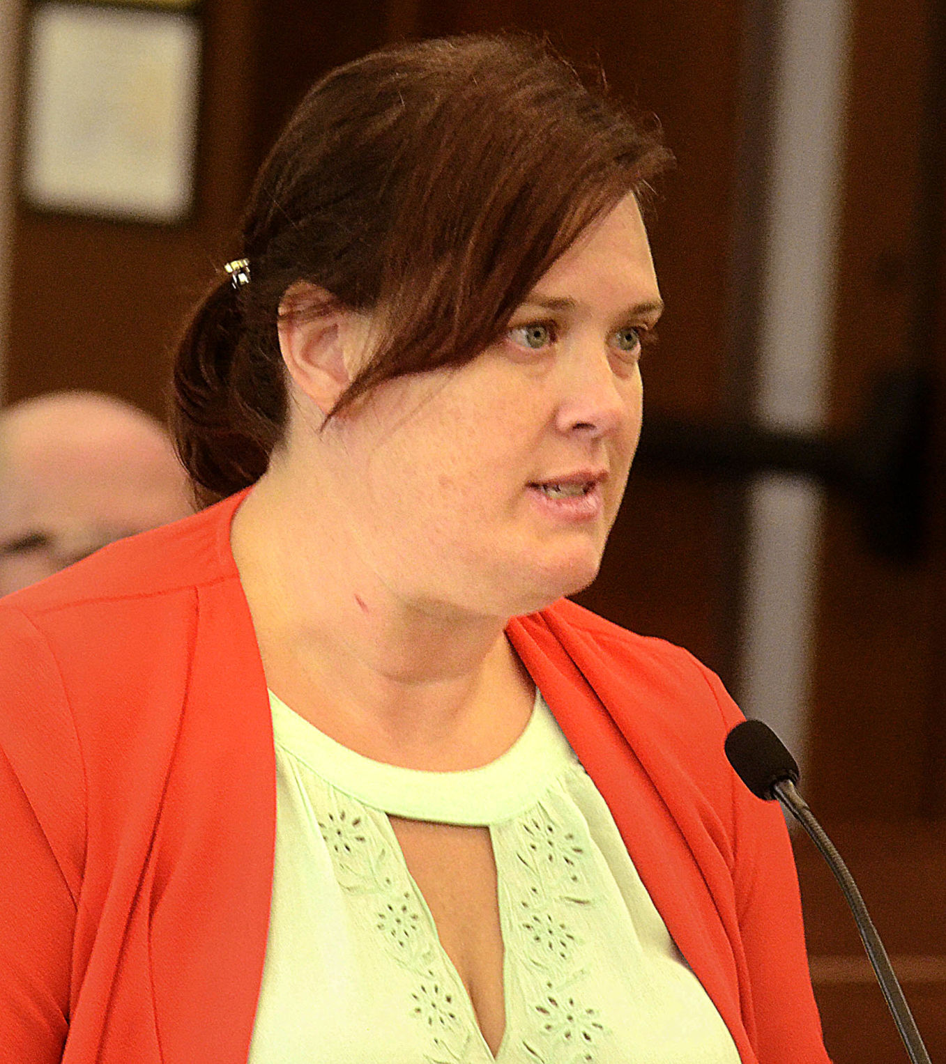 Board of Elections hearing